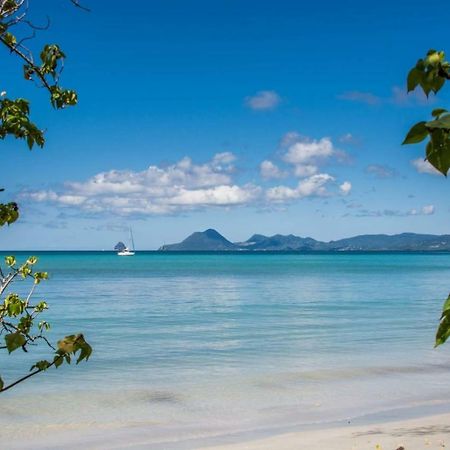 Studio A Louer Proche Des Plages Lägenhet Sainte-Anne Exteriör bild