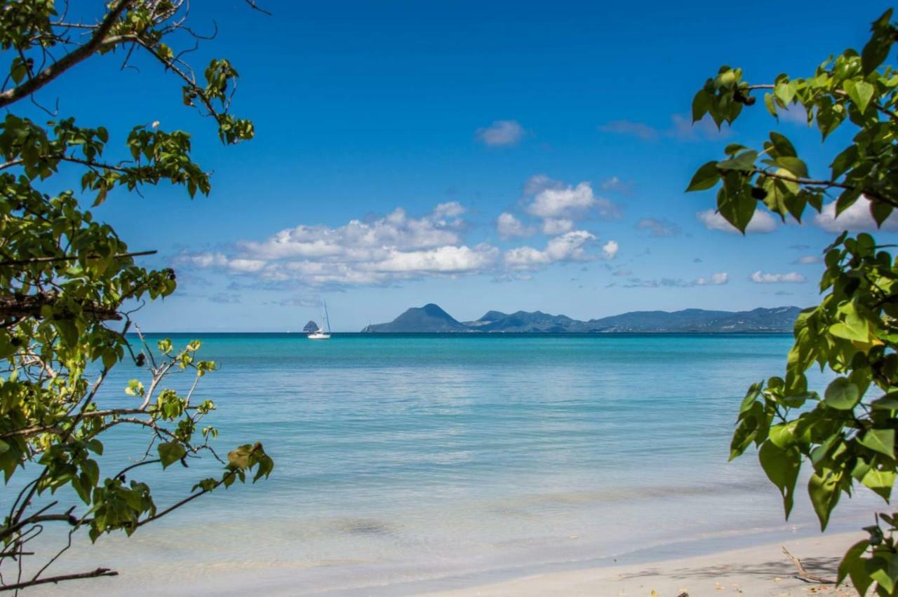 Studio A Louer Proche Des Plages Lägenhet Sainte-Anne Exteriör bild
