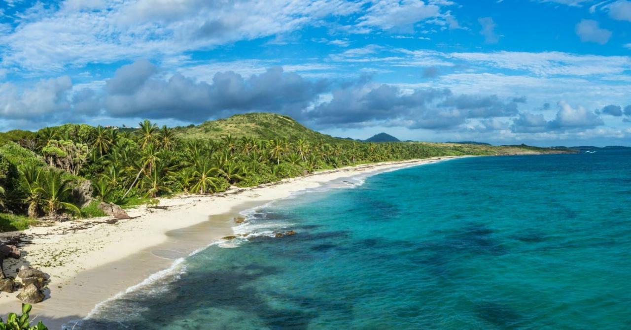Studio A Louer Proche Des Plages Lägenhet Sainte-Anne Exteriör bild